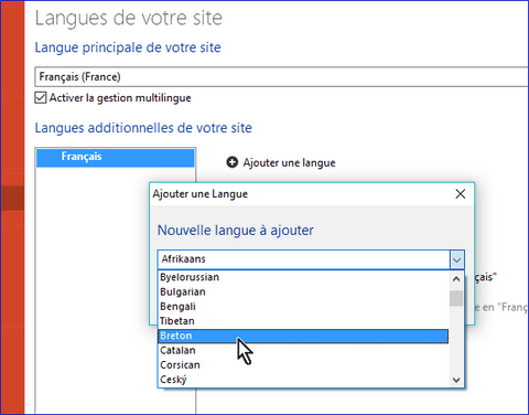 choix nouvelle langue